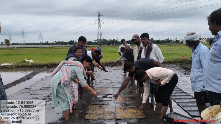 *ಉತ್ಪಾದನಾ ವೆಚ್ಚ ಕಡಿತಗೊಳಿಸಲು-ಭತ್ತದ ಯಾಂತ್ರೀಕೃತ ನಾಟಿ